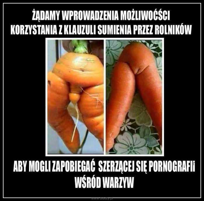 Warzywna pornografia Warzywna pornografia