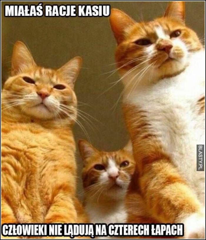 miałaś rację miałaś rację