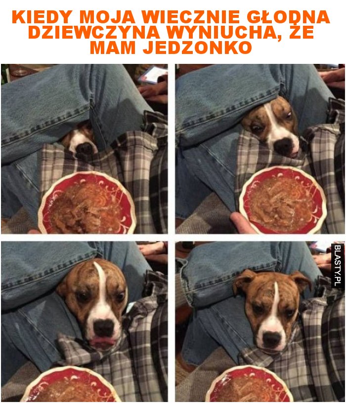 Kiedy moja wiecznie głodna dziewczyna wyniucha, że mam jedzonko Kiedy moja wiecznie głodna dziewczyna wyniucha, że mam jedzonko