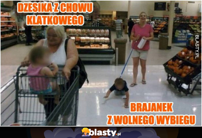 Dżesika z chowu klatkowego vs brajanek z wolnego wybiegu Dżesika z chowu klatkowego vs brajanek z wolnego wybiegu