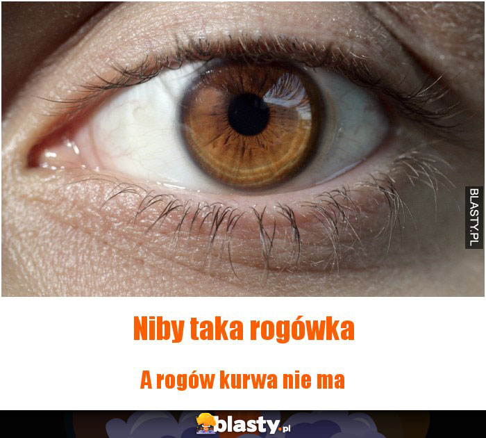 Niby taka rogówka Niby taka rogówka