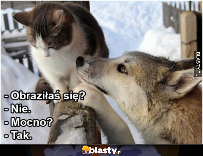 Obraziłaś się? Obraziłaś się?