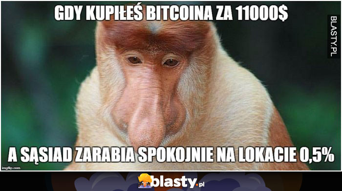 Gdy kupiłeś bitcoina za 1100 dolarów Gdy kupiłeś bitcoina za 1100 dolarów