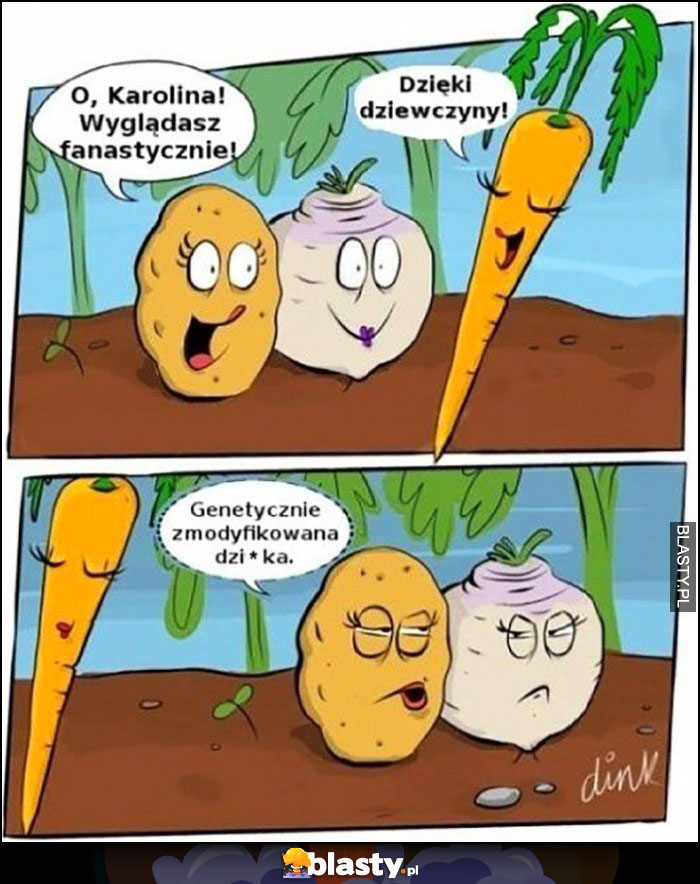 Warzywa Karolina świetnie wyglądasz genetycznie zmodyfikowana zdzira komiks Warzywa Karolina świetnie wyglądasz genetycznie zmodyfikowana zdzira komiks