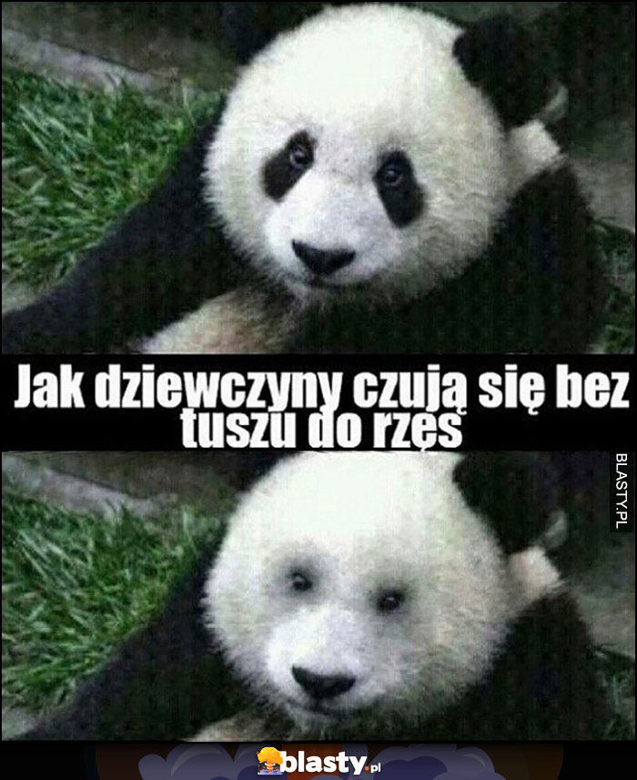 Panda jak dziewczyny czują się bez tuszu do rzęs oczy bez czarnych plam Panda jak dziewczyny czują się bez tuszu do rzęs oczy bez czarnych plam