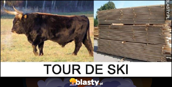 Tour de ski dosłownie zwierzę tur deski Tour de ski dosłownie zwierzę tur deski
