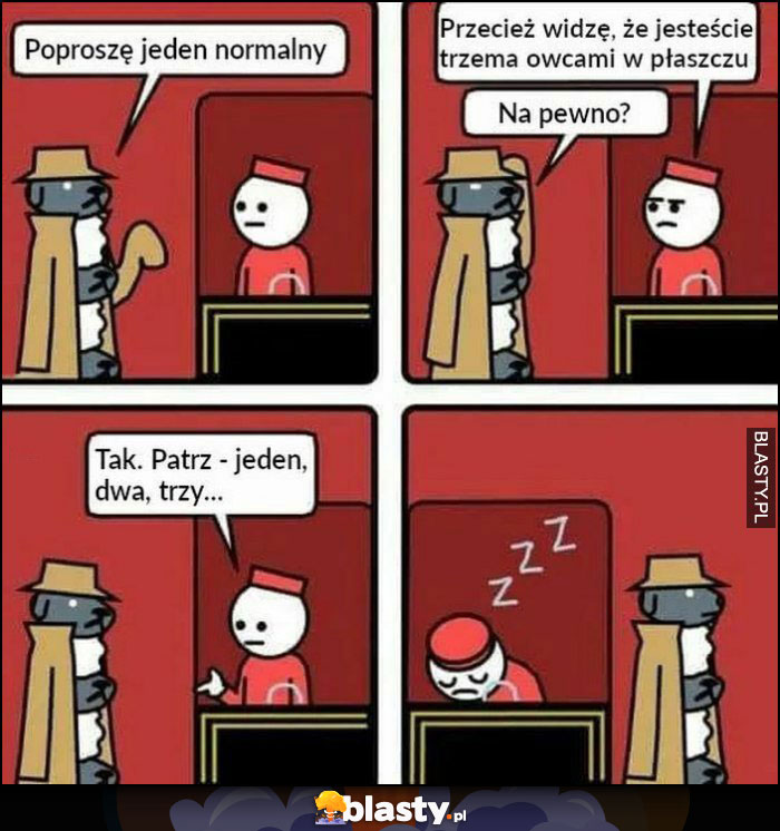Owce poproszę jeden normalny bilet do kina, jesteście trzema owcami w płaszczu, jeden, dwa, trzy, zasypia Owce poproszę jeden normalny bilet do kina, jesteście trzema owcami w płaszczu, jeden, dwa, trzy, zasypia