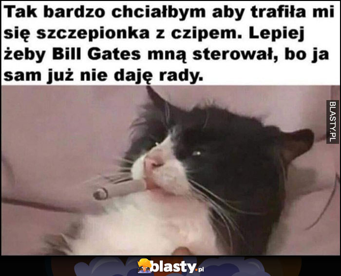 Kot z papierosem, chciałbym szczepionkę z czipem, lepiej żeby Bill Gates mną sterował bo ja sam już nie daję rady Kot z papierosem, chciałbym szczepionkę z czipem, lepiej żeby Bill Gates mną sterował bo ja sam już nie daję rady