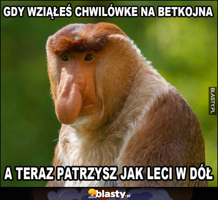 Gdy wziąłeś chwilówkę na Bitcoina a teraz patrzysz jak leci w dół Polak nosacz małpa Gdy wziąłeś chwilówkę na Bitcoina a teraz patrzysz jak leci w dół Polak nosacz małpa