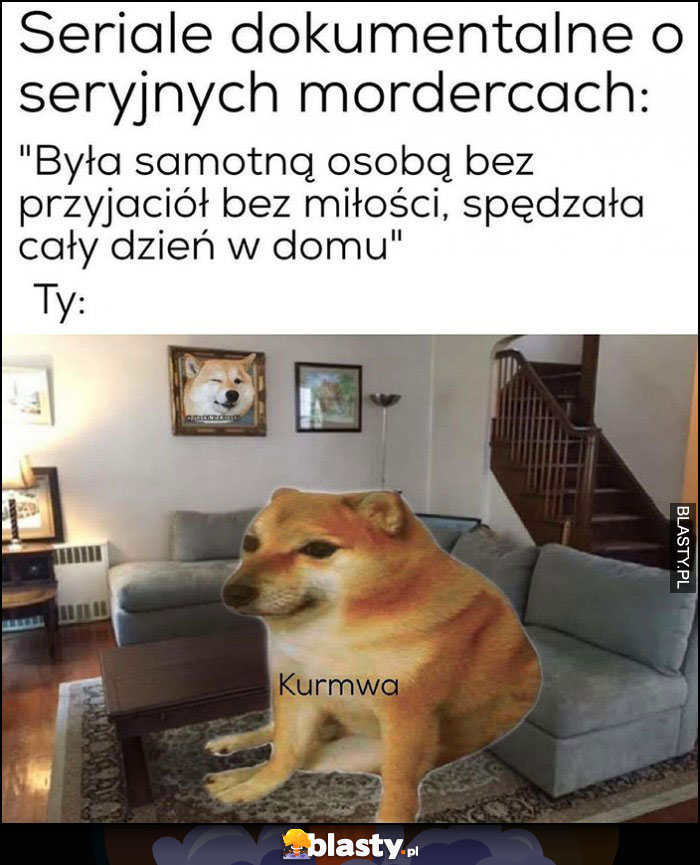 Seriale dokumentalne o seryjnych mordercach: była samotną osobą bez przyjaciół, bez miłości, spędzała cały dzień w domu pies pieseł doge kurna Seriale dokumentalne o seryjnych mordercach: była samotną osobą bez przyjaciół, bez miłości, spędzała cały dzień w domu pies pieseł doge kurna