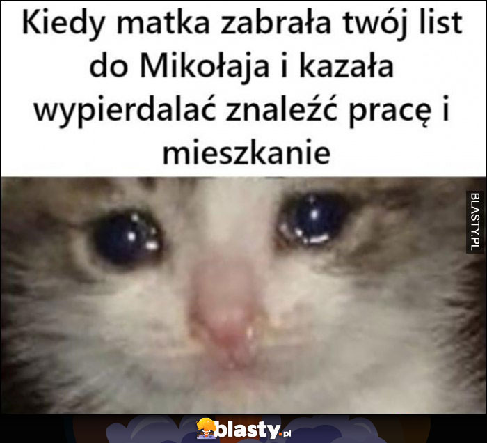 Kiedy matka zabrała twój list do Mikołaja i kazała ci wypierdzielać znaleźć pracę i mieszkanie smutny kot płacze Kiedy matka zabrała twój list do Mikołaja i kazała ci wypierdzielać znaleźć pracę i mieszkanie smutny kot płacze