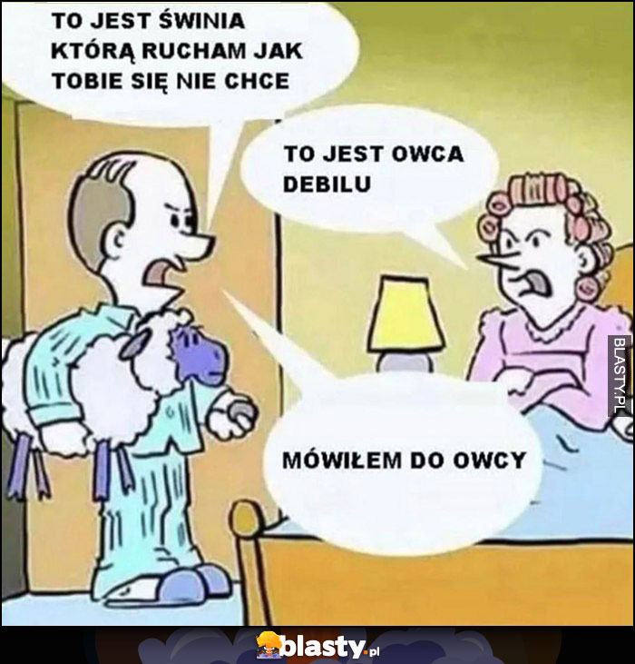 To jest świnia którą ruszam jak tobie się nie chce, to jest owca debilu, mówiłem do owcy To jest świnia którą ruszam jak tobie się nie chce, to jest owca debilu, mówiłem do owcy
