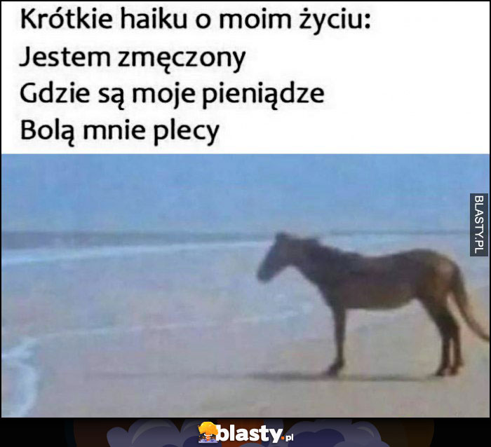 Krótkie haiku o moim życiu: jestem zmęczony, gdzie są moje pieniądze, bolą mnie plecy koń patrzy na morze Krótkie haiku o moim życiu: jestem zmęczony, gdzie są moje pieniądze, bolą mnie plecy koń patrzy na morze