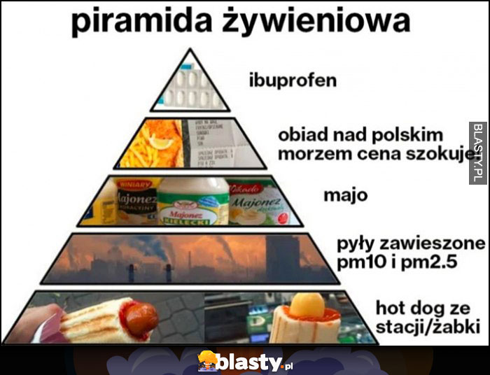Piramida żywieniowa: ibuprofen, obiad nad polskim morzem, majo, pyły zawieszone pm10 pm2.5, hot dog ze stacji lub żabki Piramida żywieniowa: ibuprofen, obiad nad polskim morzem, majo, pyły zawieszone pm10 pm2.5, hot dog ze stacji lub żabki