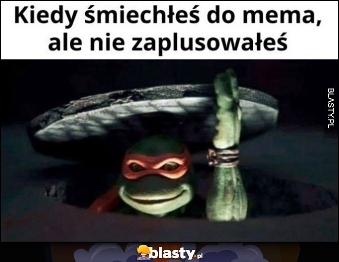 Kiedy śmiechłeś do mema, ale nie zaplusowałeś Żółw Ninja wygląda z kanału Kiedy śmiechłeś do mema, ale nie zaplusowałeś Żółw Ninja wygląda z kanału