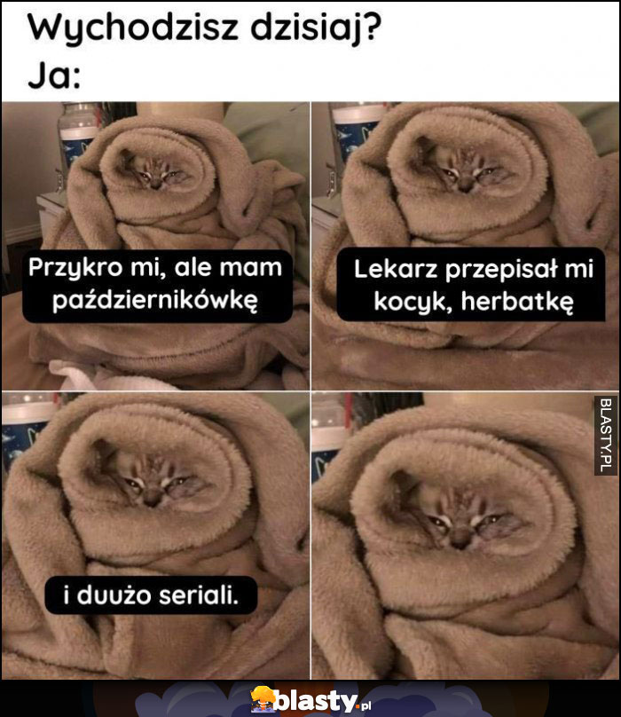 Wychodzisz dzisiaj? Ja: kot przykro mi, mam październikówkę, lekarz zalecił kocyk, herbatkę i dużo seriali Wychodzisz dzisiaj? Ja: kot przykro mi, mam październikówkę, lekarz zalecił kocyk, herbatkę i dużo seriali