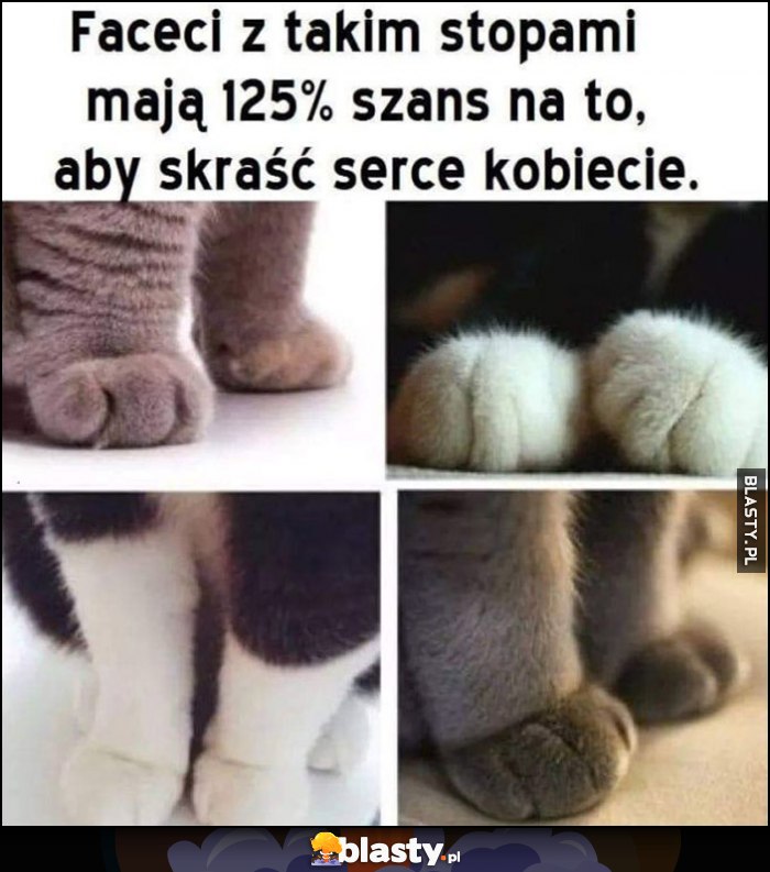 Faceci z takimi stopami mają 125% szans na to, aby skraść serce kobiecie koty kotki Faceci z takimi stopami mają 125% szans na to, aby skraść serce kobiecie koty kotki