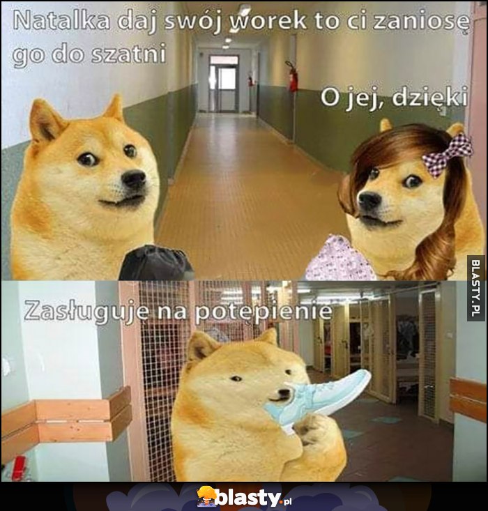 Pies pieseł doge Natalka daj mi swój worek zaniosę go do szatni wącha jej buty zasługuję na potępienie Pies pieseł doge Natalka daj mi swój worek zaniosę go do szatni wącha jej buty zasługuję na potępienie