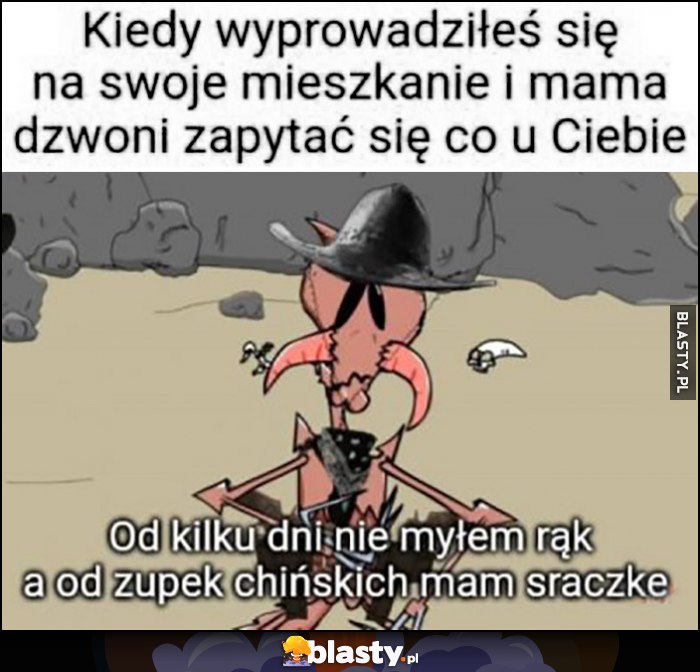 Kiedy wyprowadziłeś sie na swoje mieszkanie i mama dzwoni zapytać się co u Ciebie, od kilku dni nie myłem rąk a od zupek chińskich mam sraczkę Kapitan Bomba Kiedy wyprowadziłeś sie na swoje mieszkanie i mama dzwoni zapytać się co u Ciebie, od kilku dni nie myłem rąk a od zupek chińskich mam sraczkę Kapitan Bomba