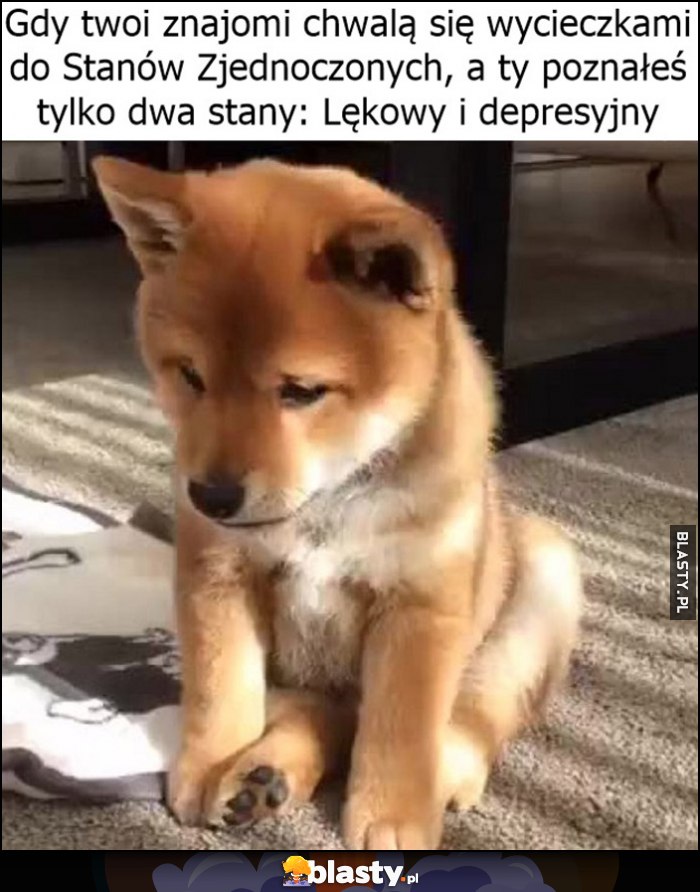 Gdy twoi znajomy chwalą się wycieczkami do Stanów Zjednoczonych, a ty poznałeś tylko dwa stany: lękowy i depresyjny smutny piesek Gdy twoi znajomy chwalą się wycieczkami do Stanów Zjednoczonych, a ty poznałeś tylko dwa stany: lękowy i depresyjny smutny piesek