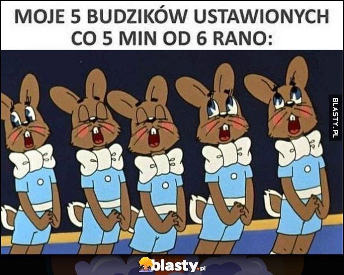 Moje 5 budzików ustawionych co 5 minut od 6 rano króliki króliczki Moje 5 budzików ustawionych co 5 minut od 6 rano króliki króliczki