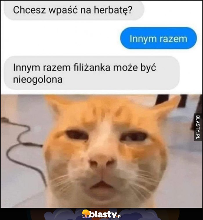 Chcesz wpaść na herbatę? Innym razem filiżanka może być nieogolona zdziwiony kot Chcesz wpaść na herbatę? Innym razem filiżanka może być nieogolona zdziwiony kot