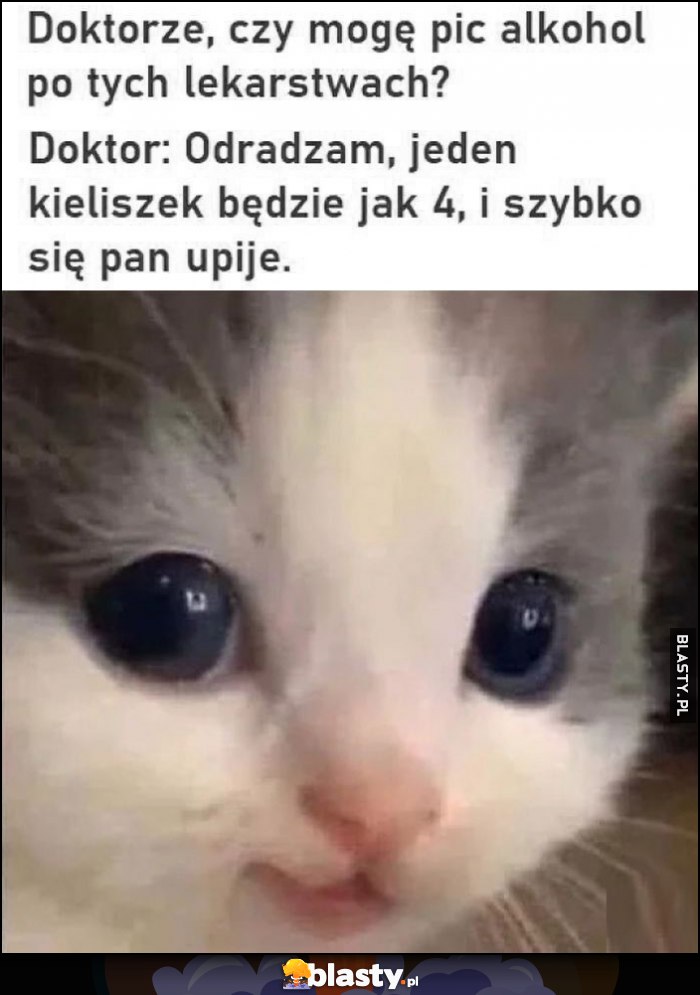 Doktorze czy mogę pić alkohol po tych lekarstwach? Doktor: odradzam, jeden kieliszek będzie jak 4 i szybko się pan upije kot kotek Doktorze czy mogę pić alkohol po tych lekarstwach? Doktor: odradzam, jeden kieliszek będzie jak 4 i szybko się pan upije kot kotek