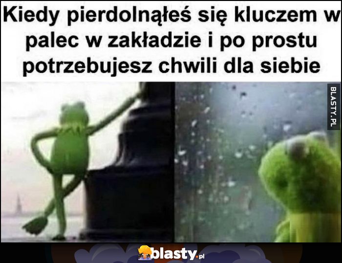 Kermit kiedy pierdzielnąłeś się kluczem w palec w zakładzie i po prostu potrzebujesz chwili dla siebie Kermit kiedy pierdzielnąłeś się kluczem w palec w zakładzie i po prostu potrzebujesz chwili dla siebie