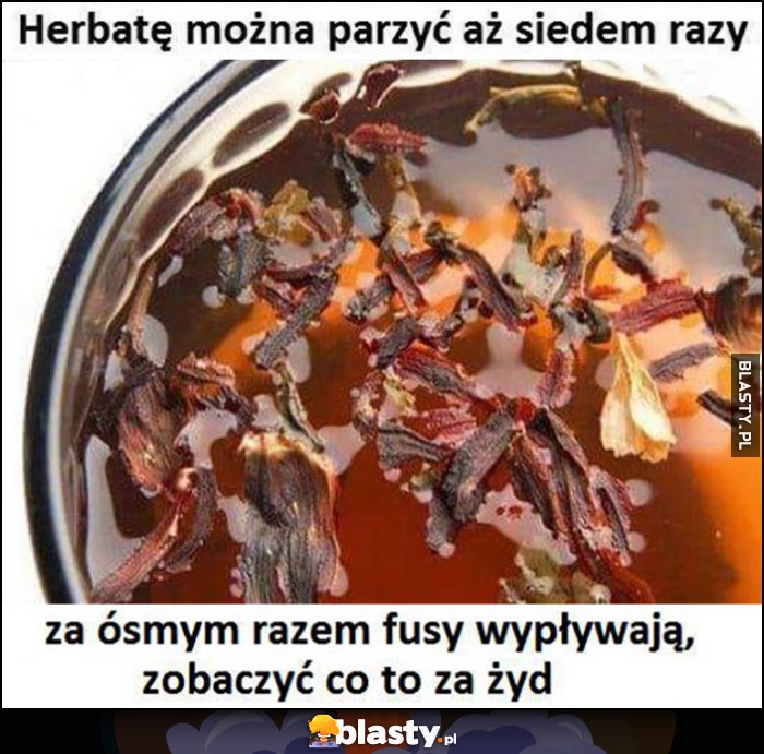 Herbatę można parzyć aż siedem razy, za ósmym razem fusy wypływają, zobaczyć co to za żyd Herbatę można parzyć aż siedem razy, za ósmym razem fusy wypływają, zobaczyć co to za żyd