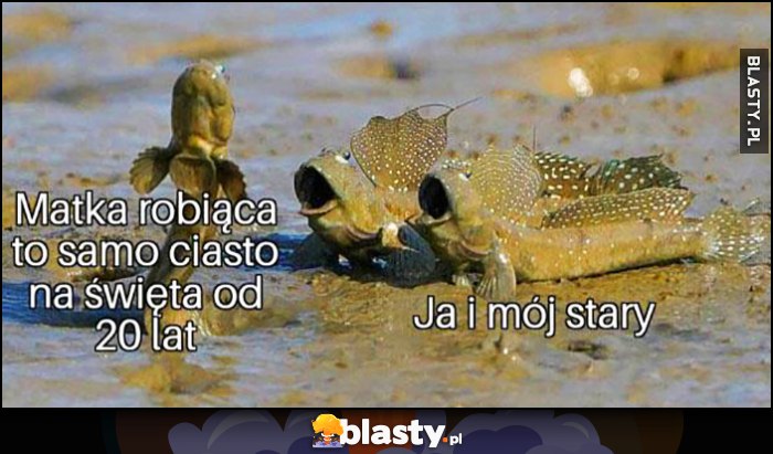 Matka robiąca to samo ciasto na święta od 20 lat, ja i mój stary reakcja szok Matka robiąca to samo ciasto na święta od 20 lat, ja i mój stary reakcja szok