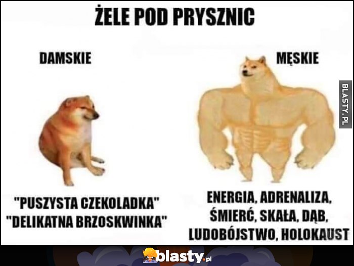 Żele pod prysznic damskie vs męskie porównanie nazw pies pieseł doge cheems Żele pod prysznic damskie vs męskie porównanie nazw pies pieseł doge cheems