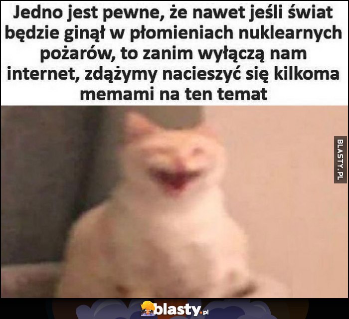 Jedno jest pewne, że nawet jeśli świat będzie ginął w płomieniach nuklearnych pożarów, to zanim wyłączą nam internet zdążymy nacieszyć się kilkoma memami na ten temat kot kotek Jedno jest pewne, że nawet jeśli świat będzie ginął w płomieniach nuklearnych pożarów, to zanim wyłączą nam internet zdążymy nacieszyć się kilkoma memami na ten temat kot kotek