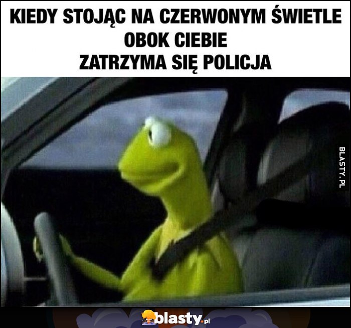 Kermit kiedy stojąc na czerwonym świetle obok ciebie zatrzyma się policja Kermit kiedy stojąc na czerwonym świetle obok ciebie zatrzyma się policja