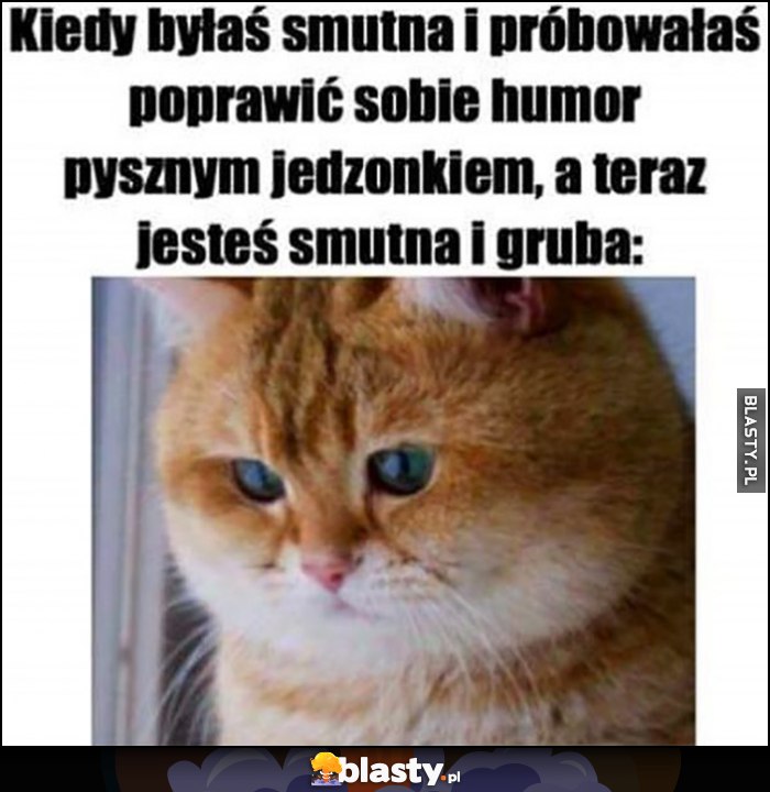Kot kotek kiedy byłaś smutna i próbowałaś poprawić sobie humor pysznym jedzonkiem, a teraz jesteś smutna i gruba Kot kotek kiedy byłaś smutna i próbowałaś poprawić sobie humor pysznym jedzonkiem, a teraz jesteś smutna i gruba