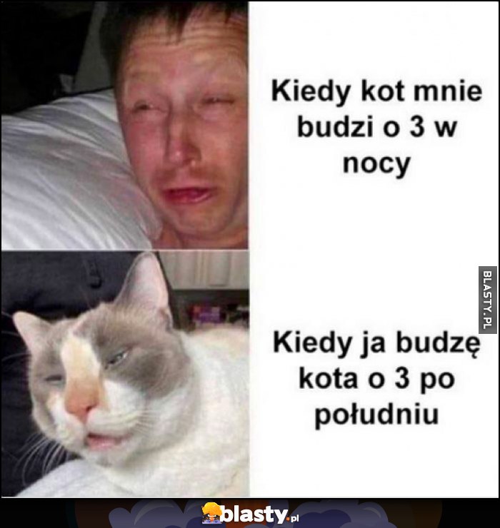Kiedy kot mnie budzi o 3 w nocy vs kiedy ja budzę kota o 3 po południu Kiedy kot mnie budzi o 3 w nocy vs kiedy ja budzę kota o 3 po południu