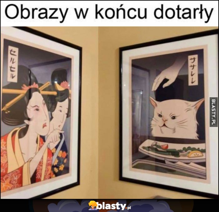 Obrazy w końcu dotarły laska kobieta krzyczy na kota Obrazy w końcu dotarły laska kobieta krzyczy na kota