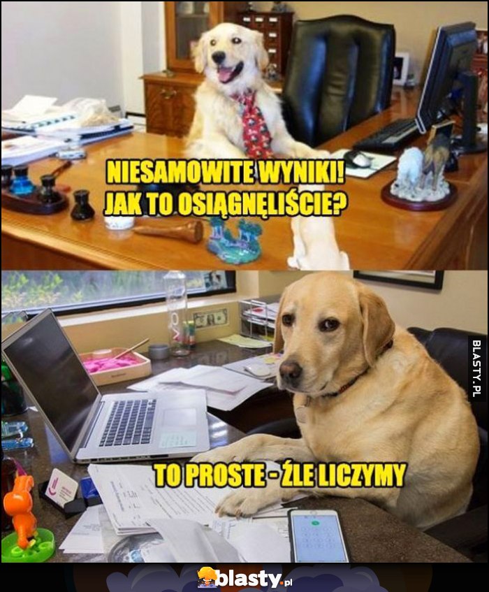 Pies psy piesek: niesamowite wyniki, jak to osiągnęliście? To proste - źle liczymy Pies psy piesek: niesamowite wyniki, jak to osiągnęliście? To proste - źle liczymy