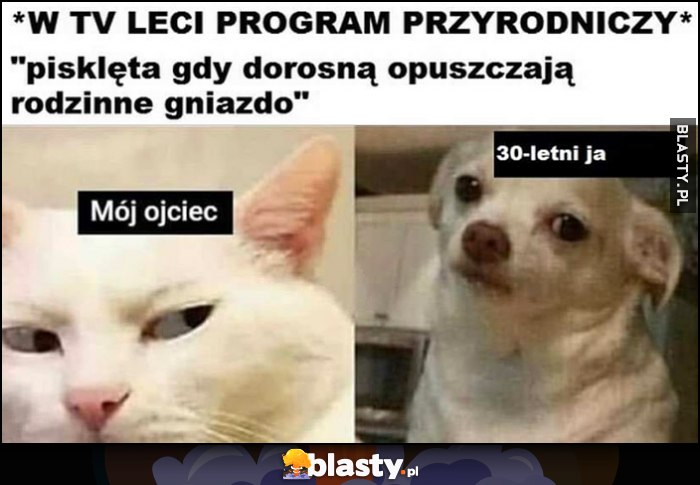 W TV leci program przyrodniczy: pisklęta gdy dorosną opuszczają rodzinne gniazdo mój ojciec vs 30 letni ja pies kot W TV leci program przyrodniczy: pisklęta gdy dorosną opuszczają rodzinne gniazdo mój ojciec vs 30 letni ja pies kot
