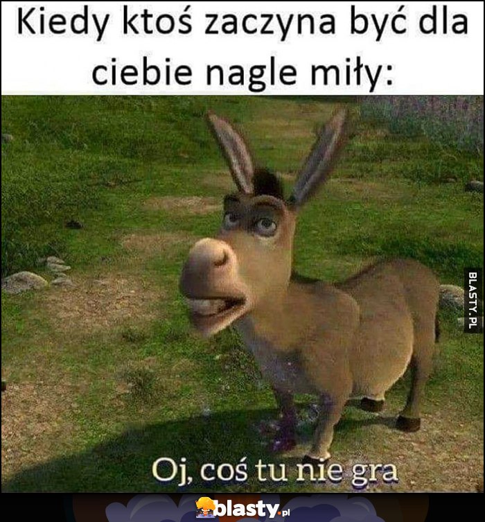 Osioł Shrek kiedy ktoś zaczyna być dla ciebie nagle miły, oj coś tu nie gra Osioł Shrek kiedy ktoś zaczyna być dla ciebie nagle miły, oj coś tu nie gra