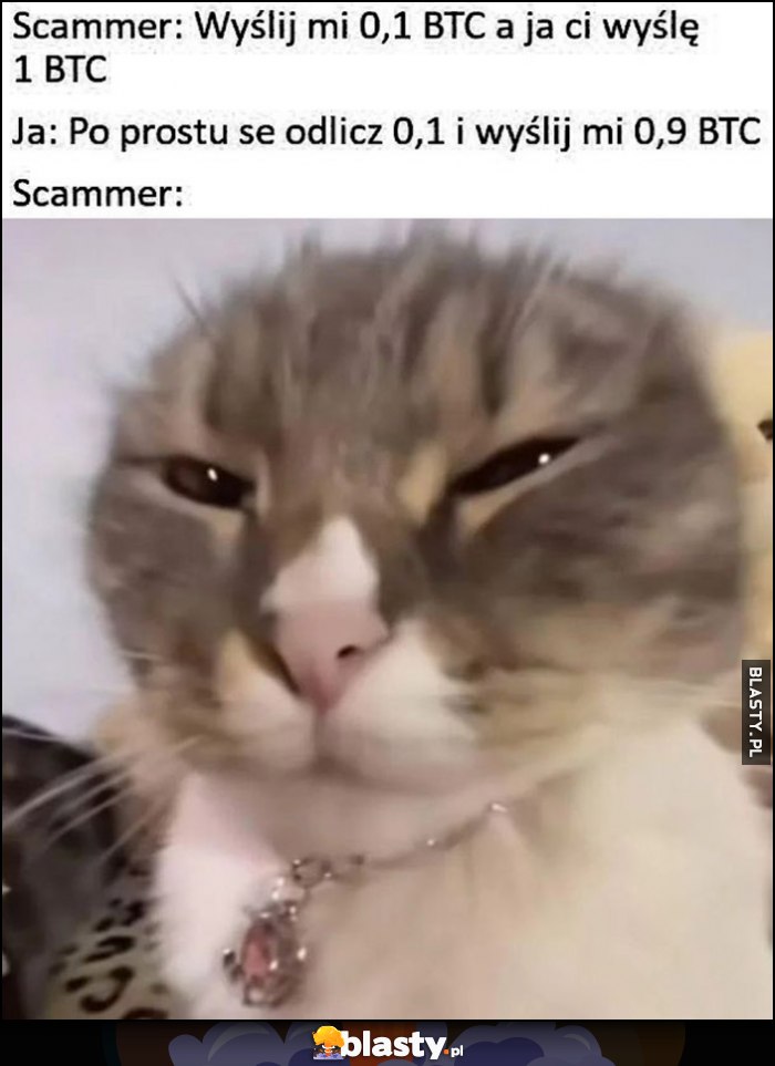 Scammer: wyślij mi 0,1 BTC a ja ci wyślę 1 BTC, ja: po prostu odlicz 0,1 i wyślij mi 0,9 BTC. Scammer: zdziwiony kotek kot Scammer: wyślij mi 0,1 BTC a ja ci wyślę 1 BTC, ja: po prostu odlicz 0,1 i wyślij mi 0,9 BTC. Scammer: zdziwiony kotek kot
