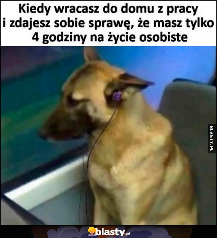 Smutny pies piesek: kiedy wracasz do domu z pracy i zdajesz sobie sprawę, że masz tylko 4 godziny na życie osobiste Smutny pies piesek: kiedy wracasz do domu z pracy i zdajesz sobie sprawę, że masz tylko 4 godziny na życie osobiste