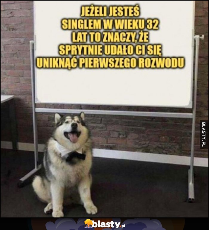 Jeżeli jesteś singlem w wieku 32 lat to znaczy, że sprytnie udało Ci się uniknąć pierwszego rozwodu Jeżeli jesteś singlem w wieku 32 lat to znaczy, że sprytnie udało Ci się uniknąć pierwszego rozwodu