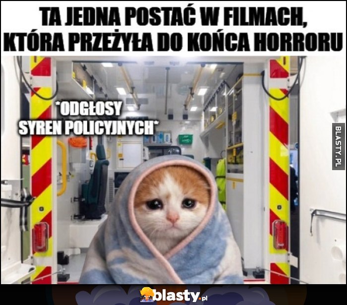 Ta jedna postać w filmach, która przeżyła do końca horroru, kotek w tle odgłosy syren policyjnych Ta jedna postać w filmach, która przeżyła do końca horroru, kotek w tle odgłosy syren policyjnych