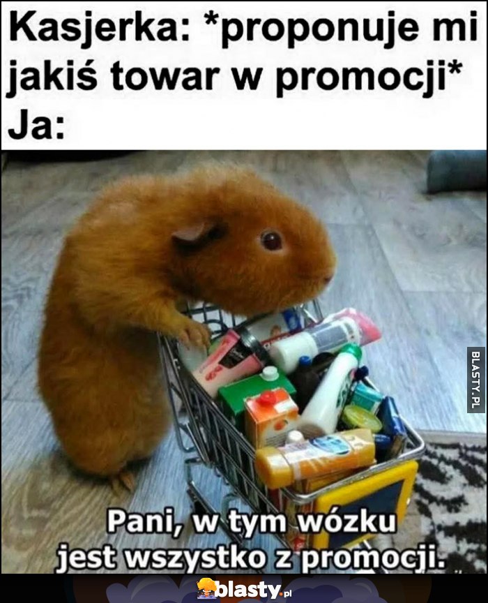 Kasjerka: proponuje mi jakiś towar w promocji, ja: pani, w tym wózku jest wszystko z promocji Kasjerka: proponuje mi jakiś towar w promocji, ja: pani, w tym wózku jest wszystko z promocji