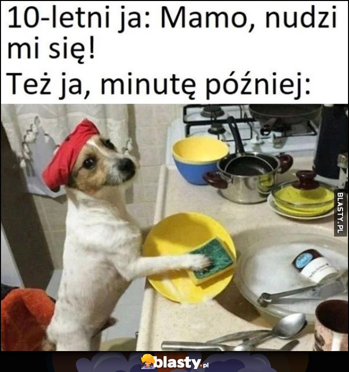 10-letni ja: mamo, nudzi mi się. Też ja, minutę później piesek zmywa naczynia 10-letni ja: mamo, nudzi mi się. Też ja, minutę później piesek zmywa naczynia