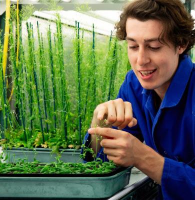 Researcher demonstrating.