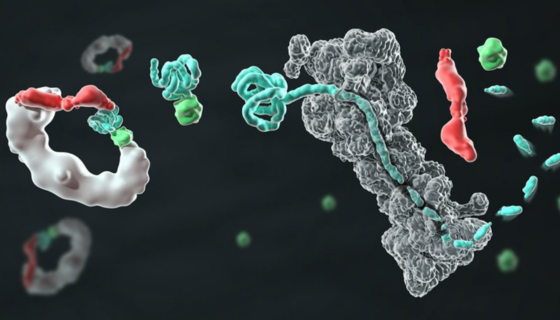 FierceBiotech: Arvinas eyes a busy 2021 as protein degraders gather steam in breast, prostate cancers