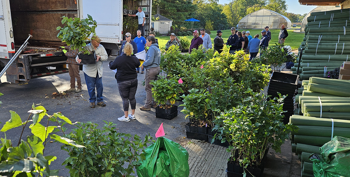 Dozens of trees are unloaded from two trucks as people wait in line.