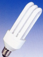 Compact Fluorescent Lamp