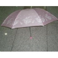 Fold Umbrella